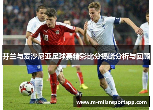 芬兰与爱沙尼亚足球赛精彩比分揭晓分析与回顾